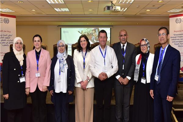 ورشة عمل إقليمية بالقاهرة 
