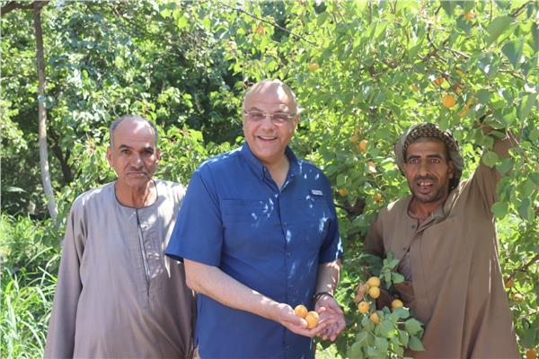 محافظ القليوبية