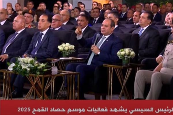  الرئيس عبد الفتاح السيسي