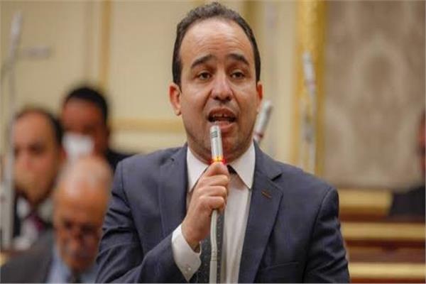 النائب محمد إسماعيل عضو مجلس النواب