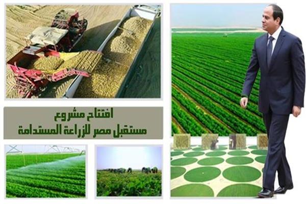 مشروع "مستقبل مصر الزراعي" بمنطقة الضبعة