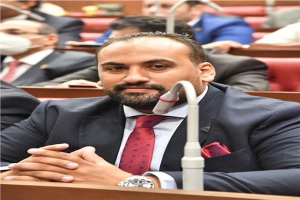 النائب محمد الرشيدي
