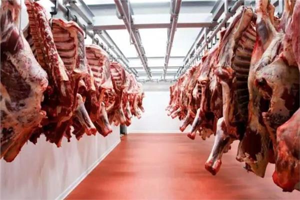  استعدادات مكثفة لتوفير اللحوم قبل عيد 