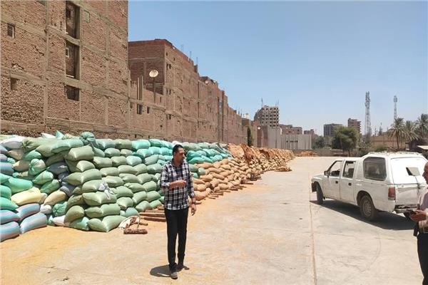 حصاد 188 ألف فدان من القمح وتوريد أكثر من 147 ألف طن بأسيوط