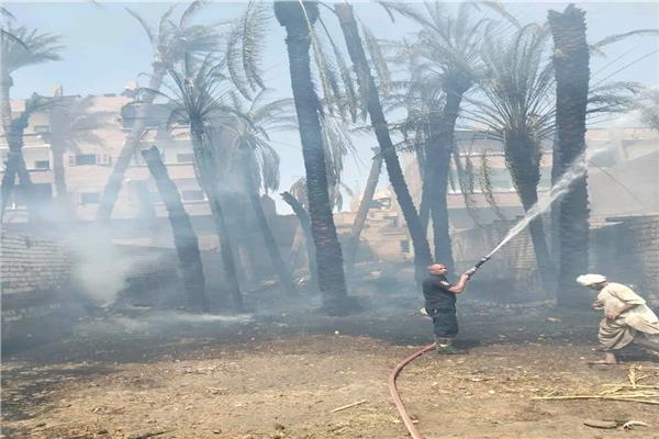 مصرع ربة منزل واحتراق 8 حظائر مواشي بأسيوط 