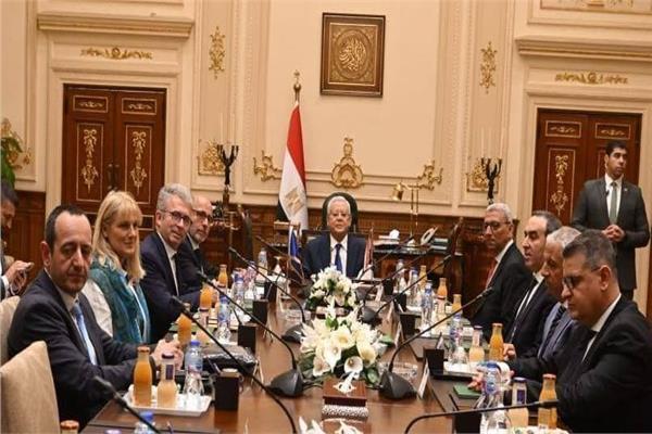 حنفي جبالي رئيس مجلس النواب