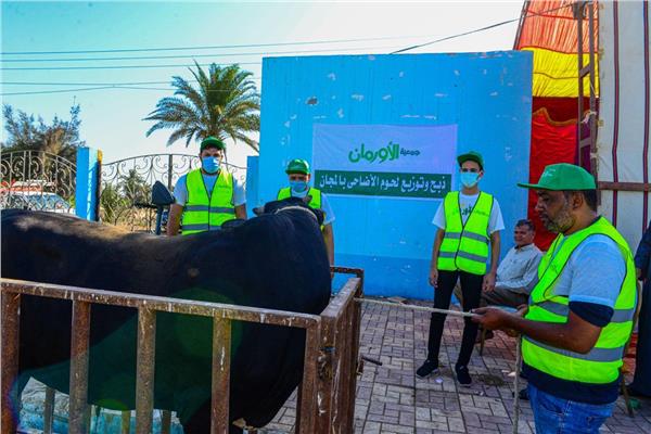  رفع درجة الاستعداد لاستقبال عيد الأضحى