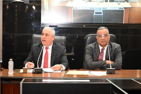المهندس عبد الصادق الشوربجي
