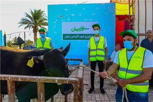 نحر الاضاحى وتوزيعها على الأسر الأولى بالشرقية