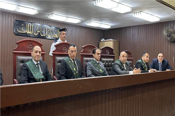 صدر الحكم برئاسة المستشار أيمن فؤاد فهمي