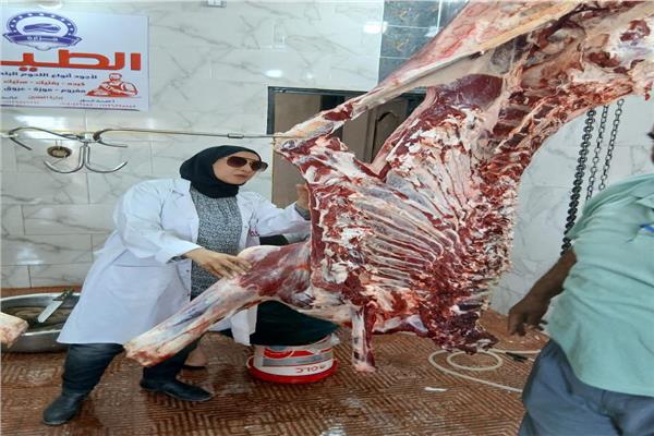 ضبط لحوم مجهولة المصدر 