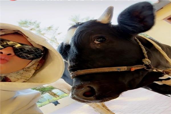 ياسمين عبد العزيز