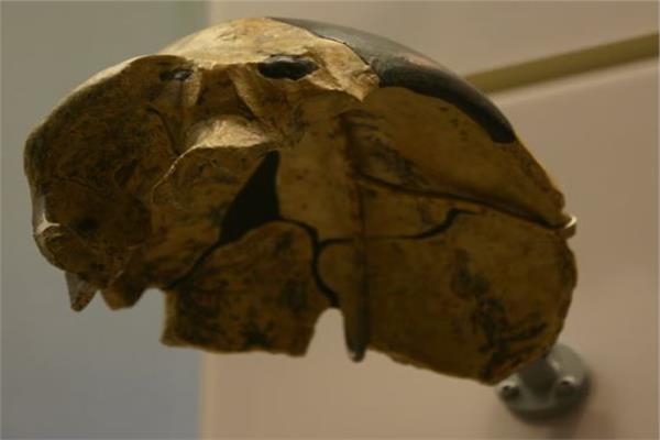 صورة موضوعية