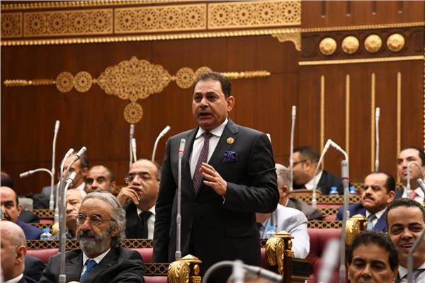 فرج فتحي فرج عضو مجلس الشيوخ