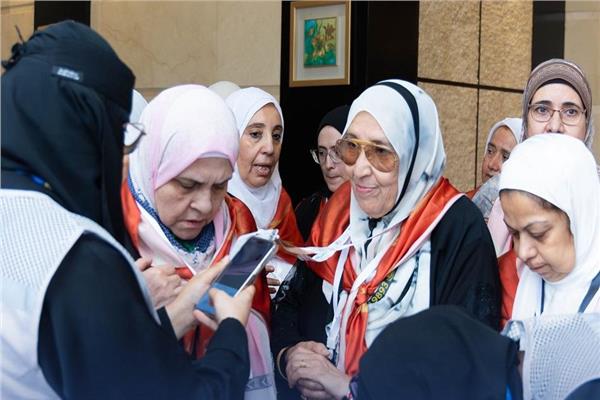 تحسين برامج حجاج البري والاقتصادي - أرشيفية