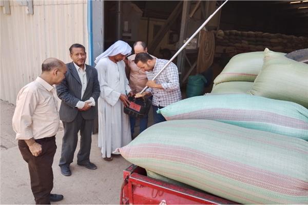 استمرار أعمال توريد القمح بتوريد  506 آلاف طن قمح منذ بدء موسم 2025
