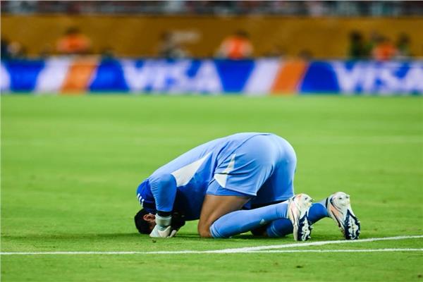 محمد الشناوي