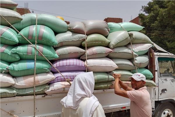 توريد القمح