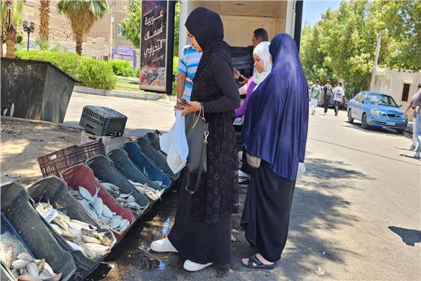 "مستقبل وطن" بقنا ينظم قافلة لبيع أسماك البحر الأحمر بأسعار مخفضة للمواطنين