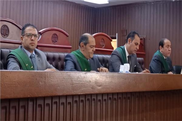 هيئة المحكمة برئاسة المستشار أمير فايز حنا