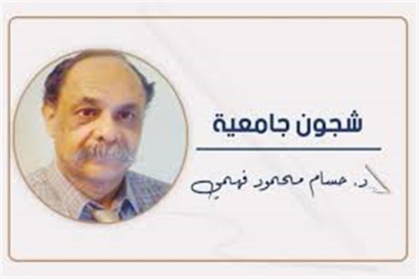 د. حسام محمود  فهمى