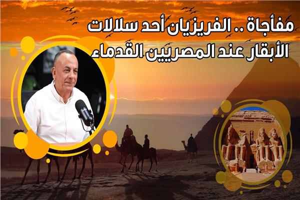 وزيري: المصري القديم لم يعبد البقر و «الفريزيان» سلالة مصرية 