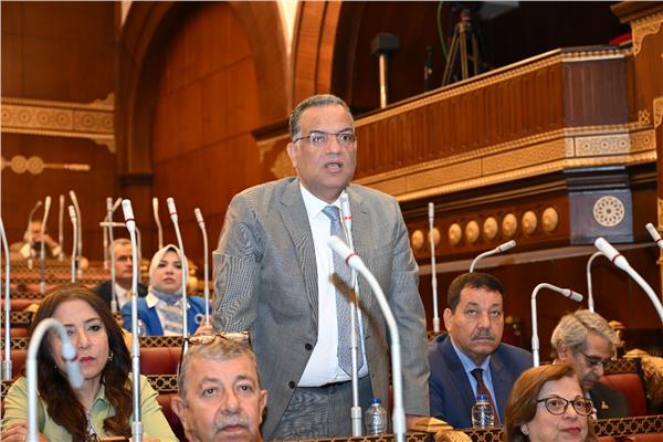 الدكتور محمود مسلم رئيس لجنة الثقافة والأثار والسياحة والإعلام بالمجلس