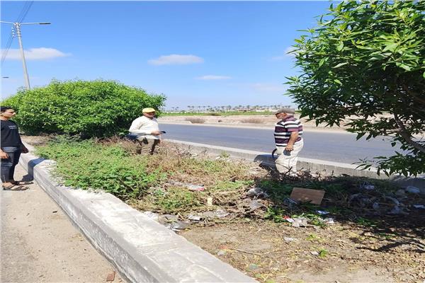 حملة مكثفة لتهذيب الأشجار وتعزيز النظافة