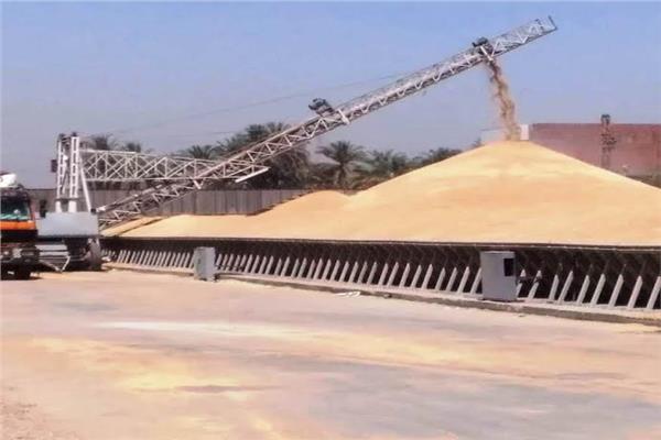 توريد القمح