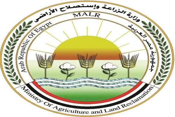 الزراعة 