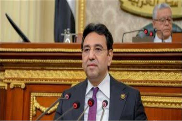 الدكتور أيمن محسب وكيل لجنة الشئون العربية بمجلس النواب