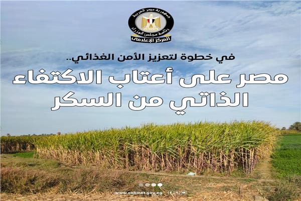 مصر على أعتاب الاكتفاء الذاتي من السكر     