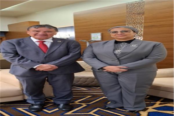 المستشارة أمل عمار تلتقى وزير التنمية