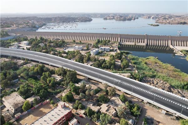 محافظ أسوان