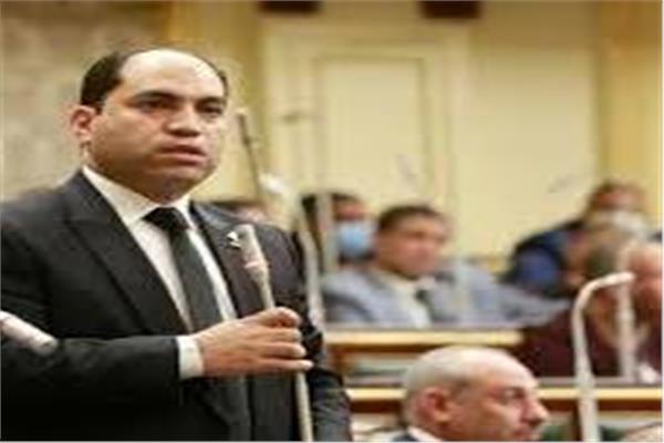 النائب عمرو درويش