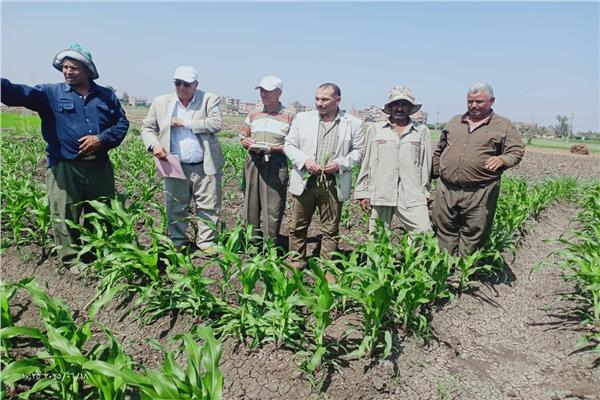 الإدارة المركزية لمكافحة الآفات بوزارة الزراعة واستصلاح الأراضي