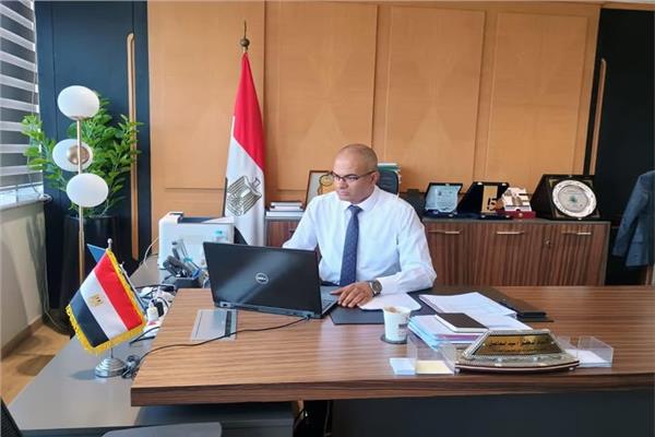 الدكتور سيد إسماعيل