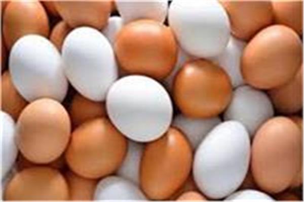 اسعار البيض اليوم 1 يوليو