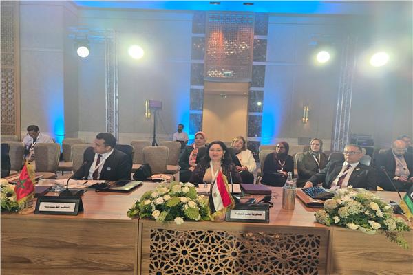 وزيرة التضامن الاجتماعي