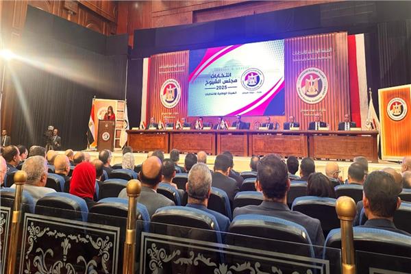 الهيئة الوطنية للانتخابات
