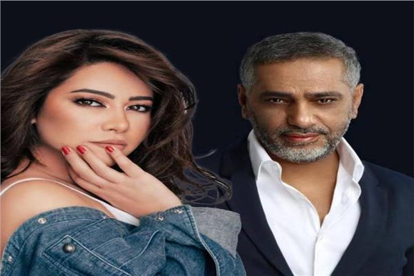 فضل شاكر و شيرين عبد الوهاب