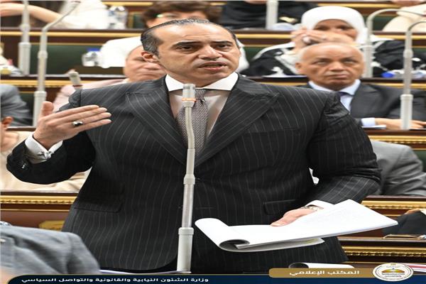 المستشار محمود فوزي، وزير الشؤون النيابية والقانونية والتواصل السياسي