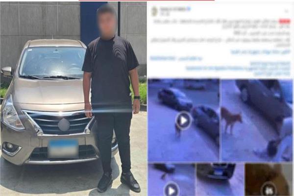 المتهم