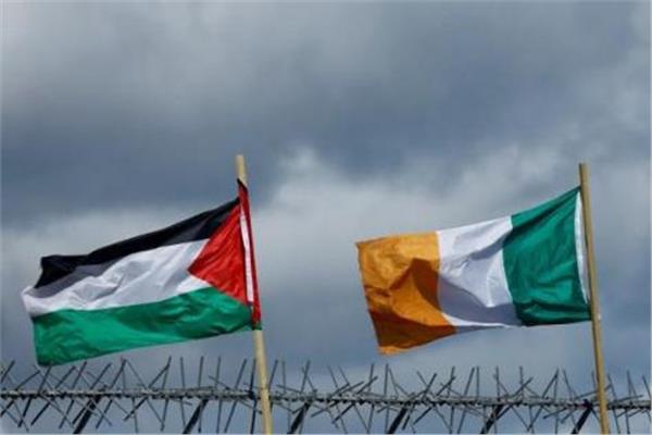 إيرلندا وفلسطين