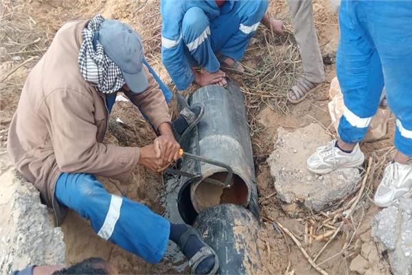 استخراج جذور أشجار من شبكة الـ 40 فدان بالقنطرة شرق 