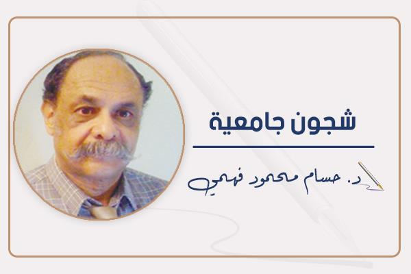 د. حسام محمود فهمى