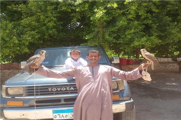  صائد الصقور 