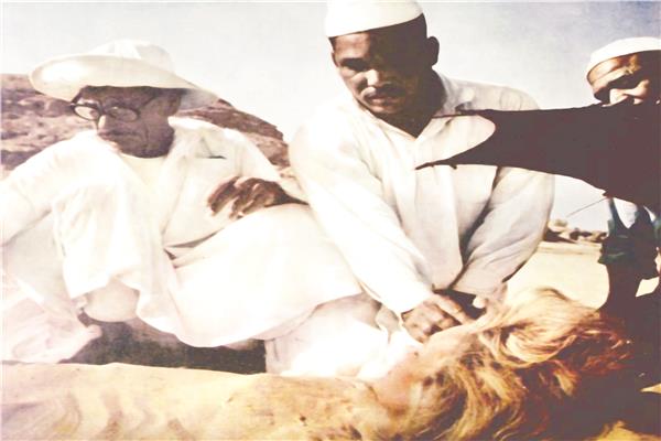 صورة أرشيفية