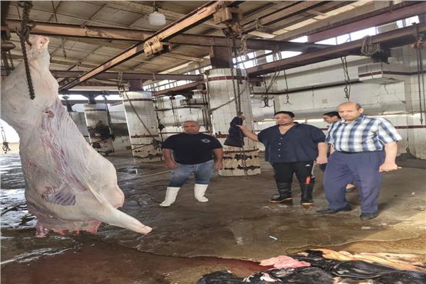 فتحي عبد العال مدير مديرية الطب البيطري