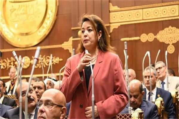 الدكتورة سماء سليمان وكيل لجنة الشؤون الخارجية والعربية